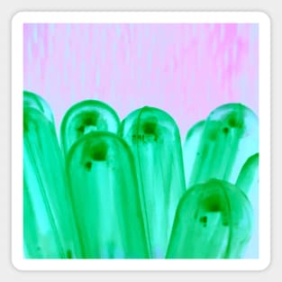 Pipette Bouquet Magnet